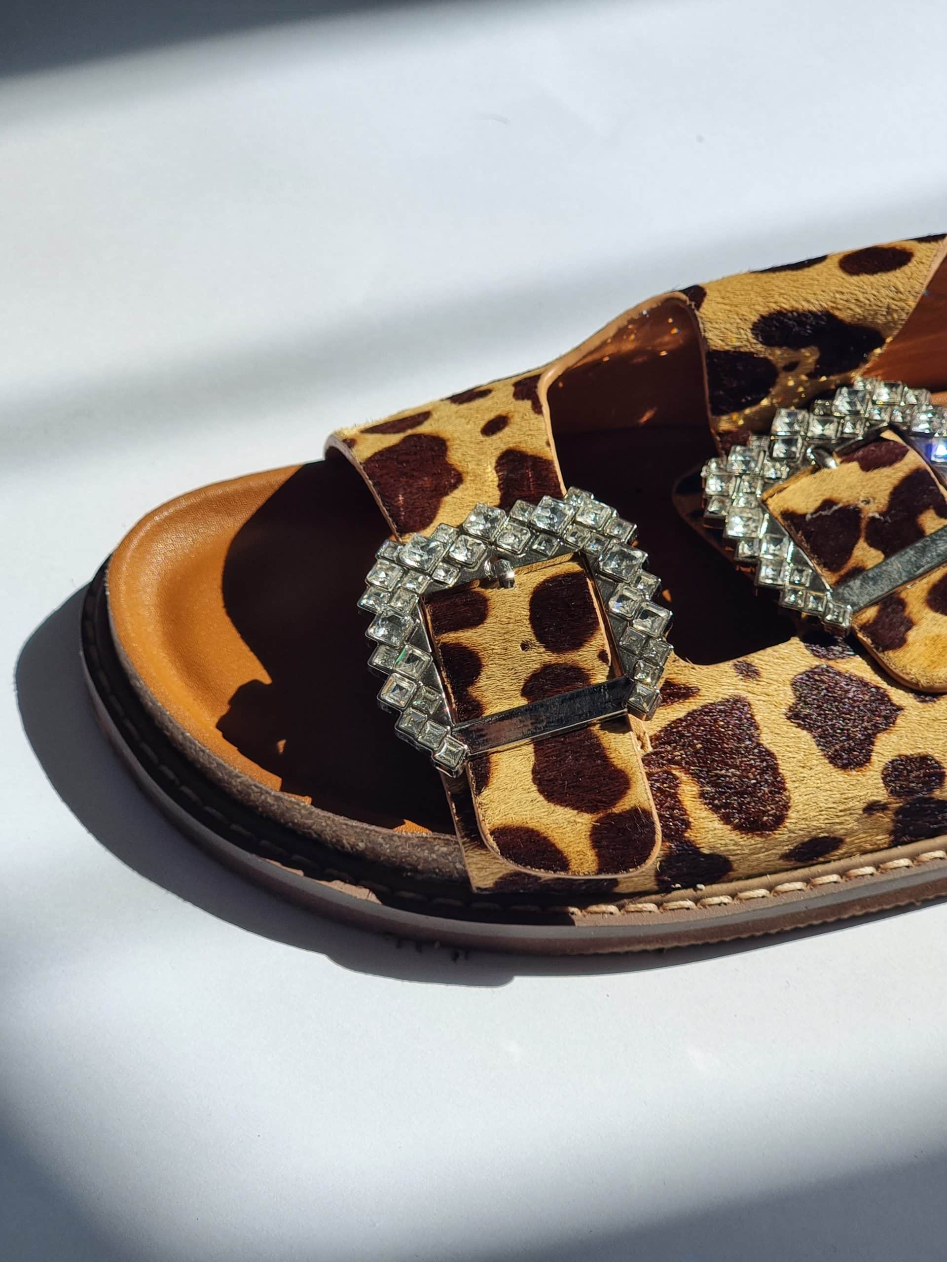 Lenny Leopard