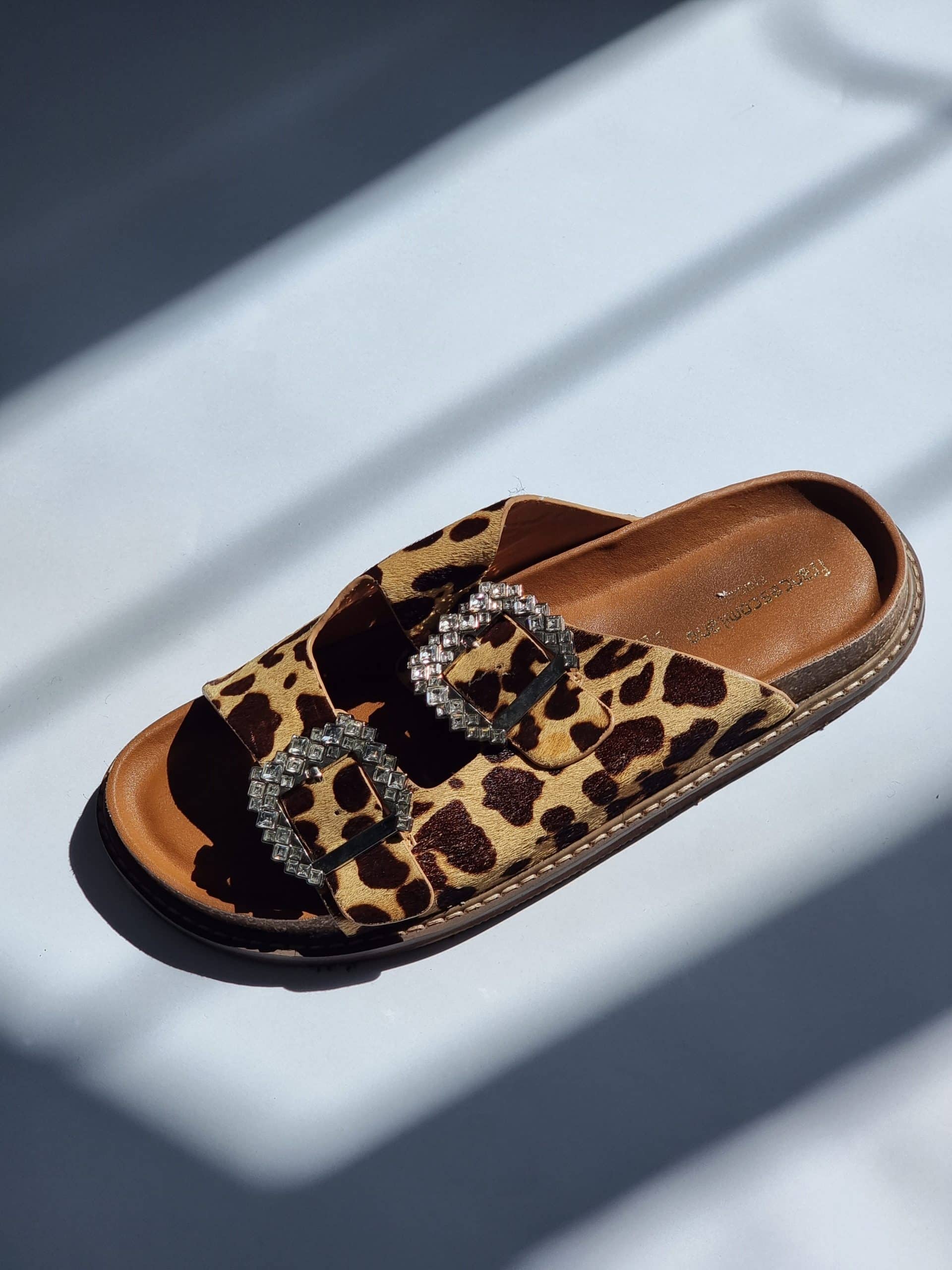 Lenny Leopard