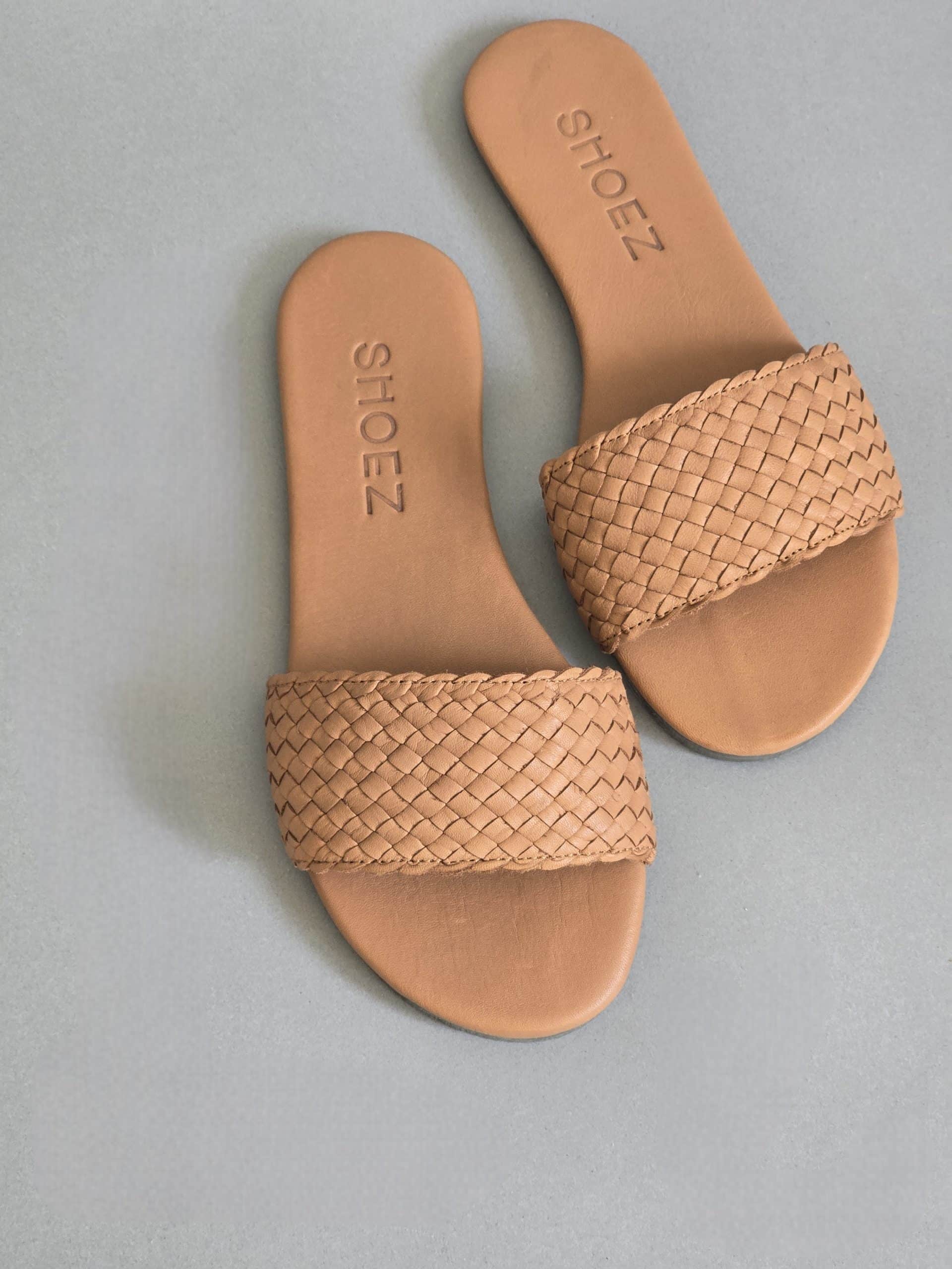 Cassius Terracotta