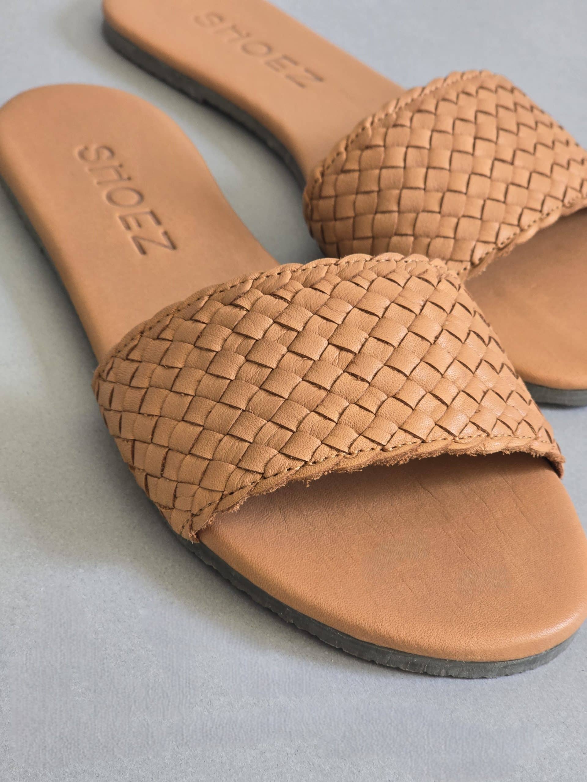 Cassius Terracotta
