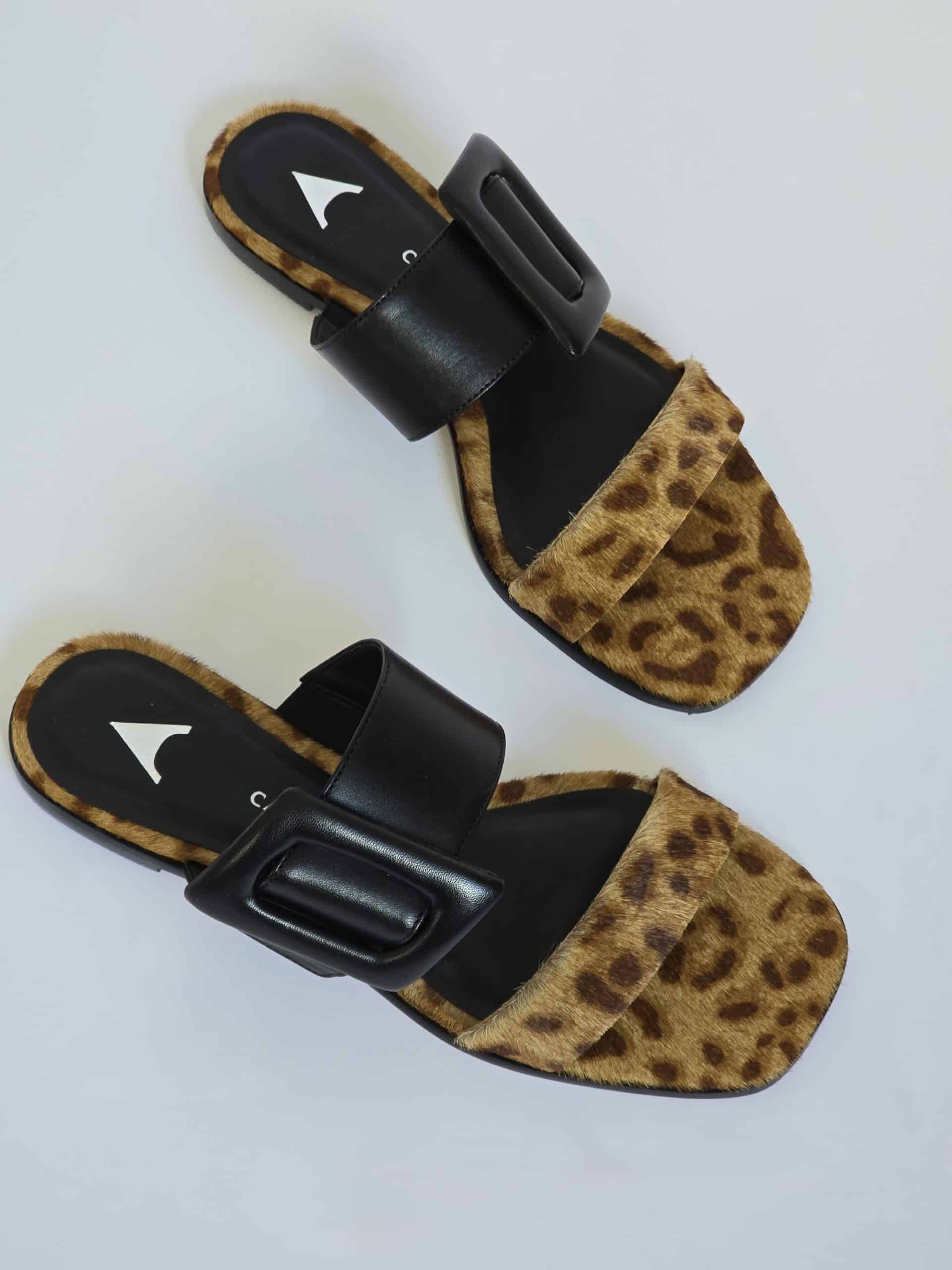 Sonny Leopard