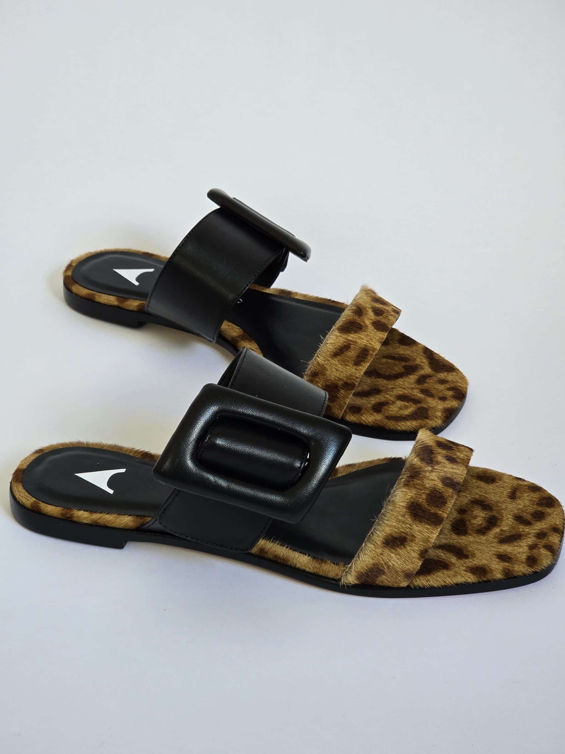 Sonny Leopard