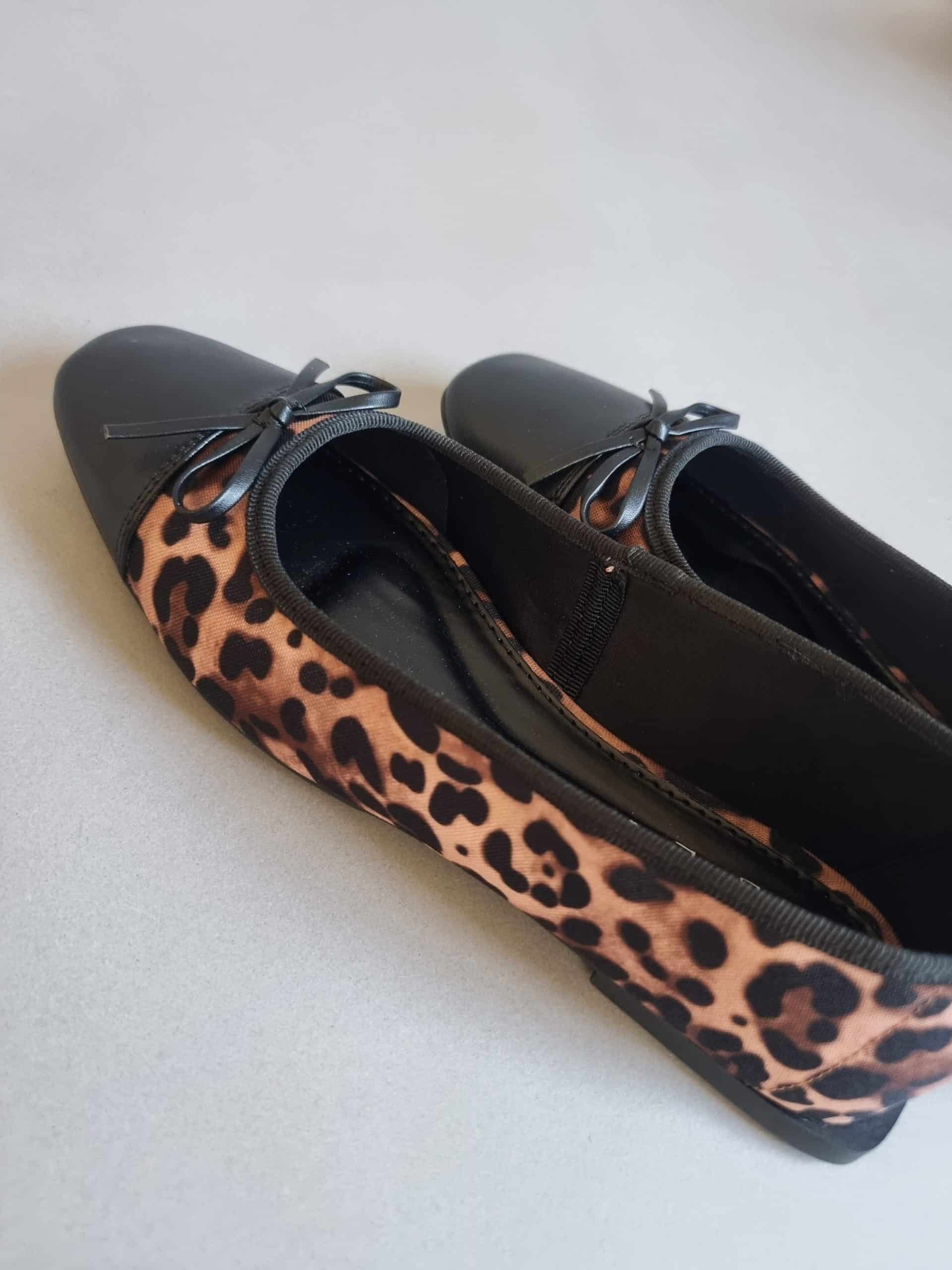 Bari Leopard
