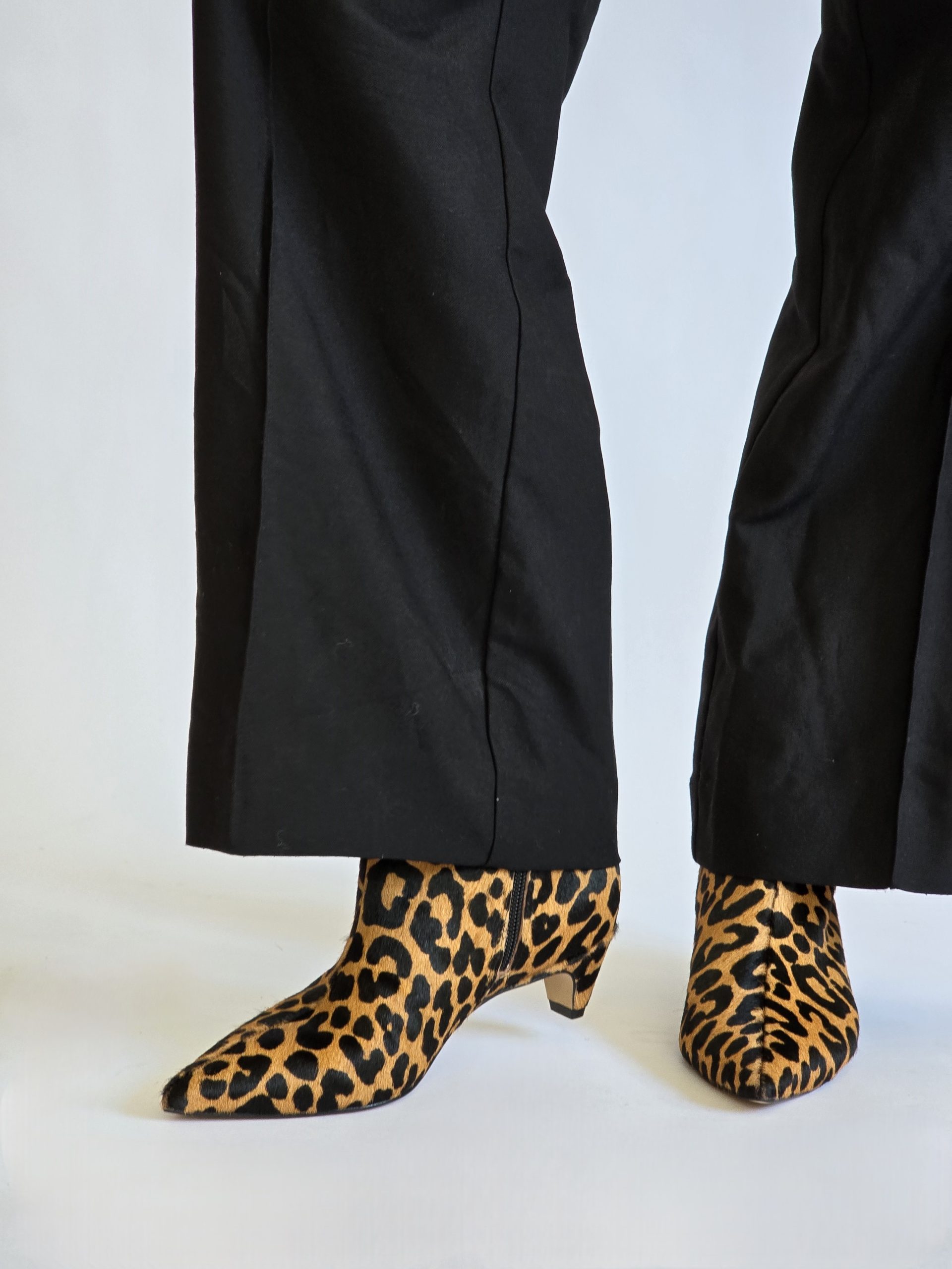 Clara Leopard